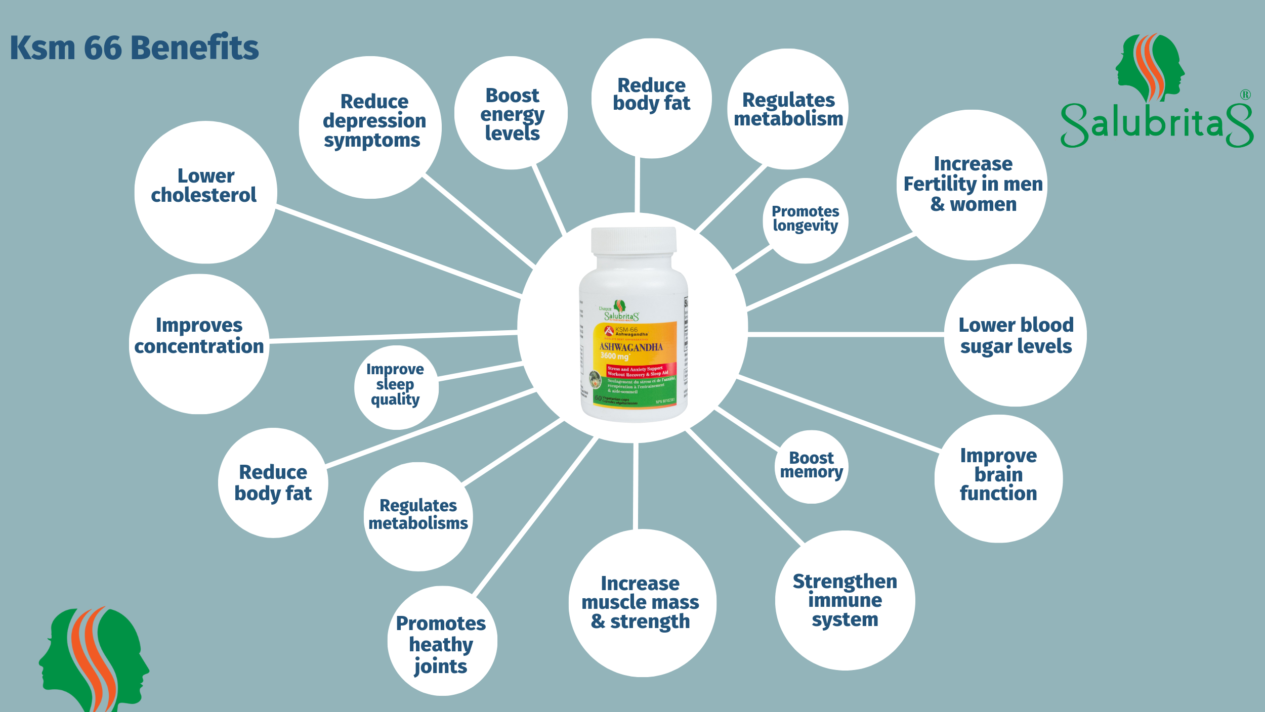 KSM 66 Benefits Diagram