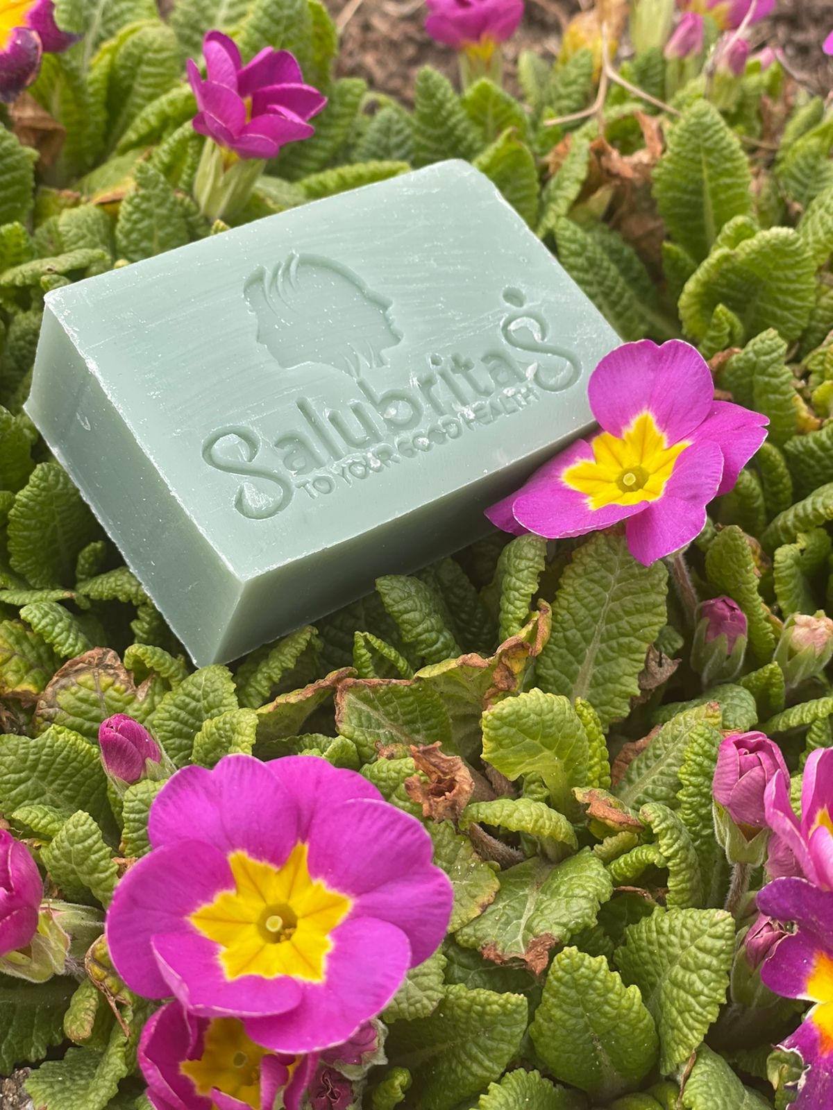 Naked Salubritas Shampoo Bar