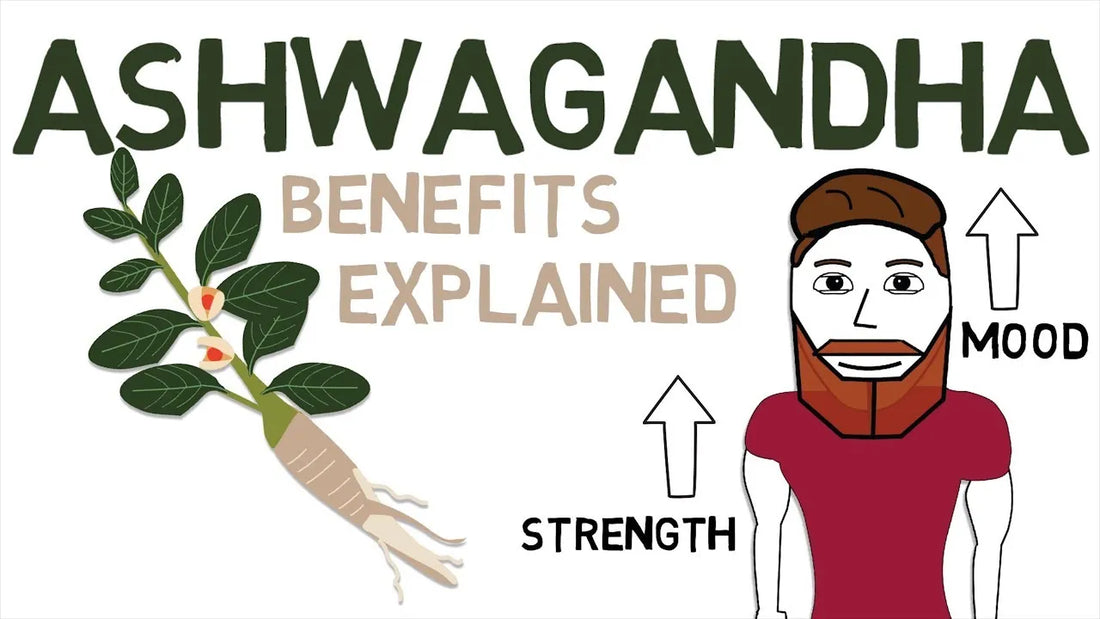 10 Reasons Why You Should Be Using Ashwagandha